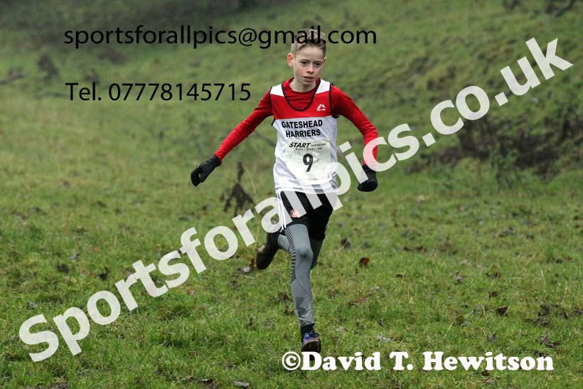 Boys under-13s, NECAA Junior Cross Country Relays, Thornley Farm, Peterlee, Saturday, December 12th. Photo: David T. Hewitson/Sports for All Pics